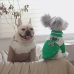 frenchie space shop warmhug french bulldog sweater