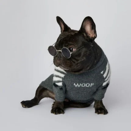 frenchie space shop woof french bulldog sweater