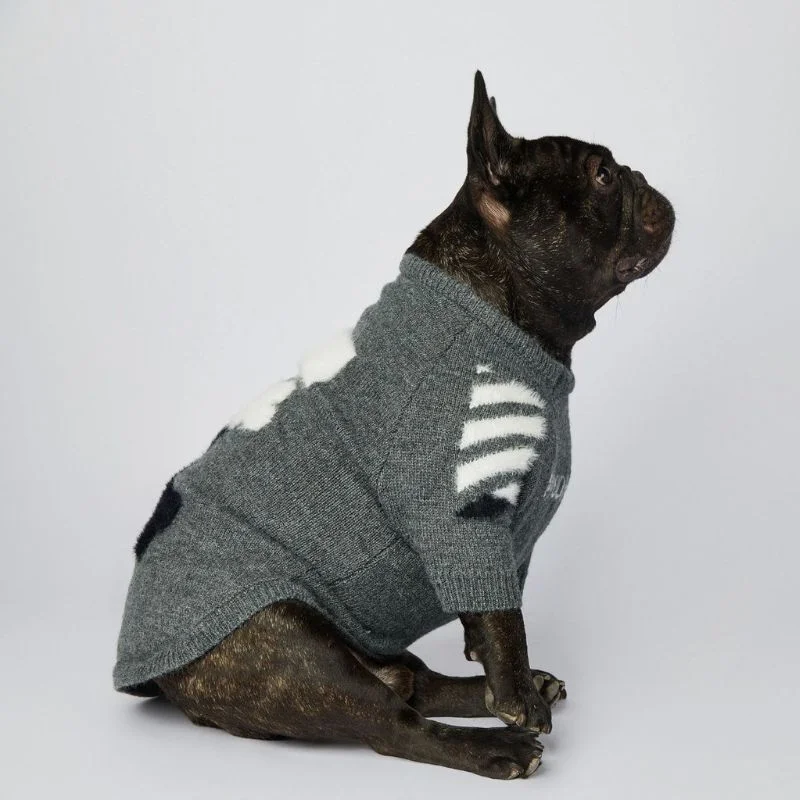 frenchie space shop woof french bulldog sweater