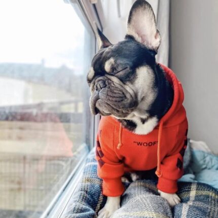 frenchie space shop woofy french bulldog hoodie