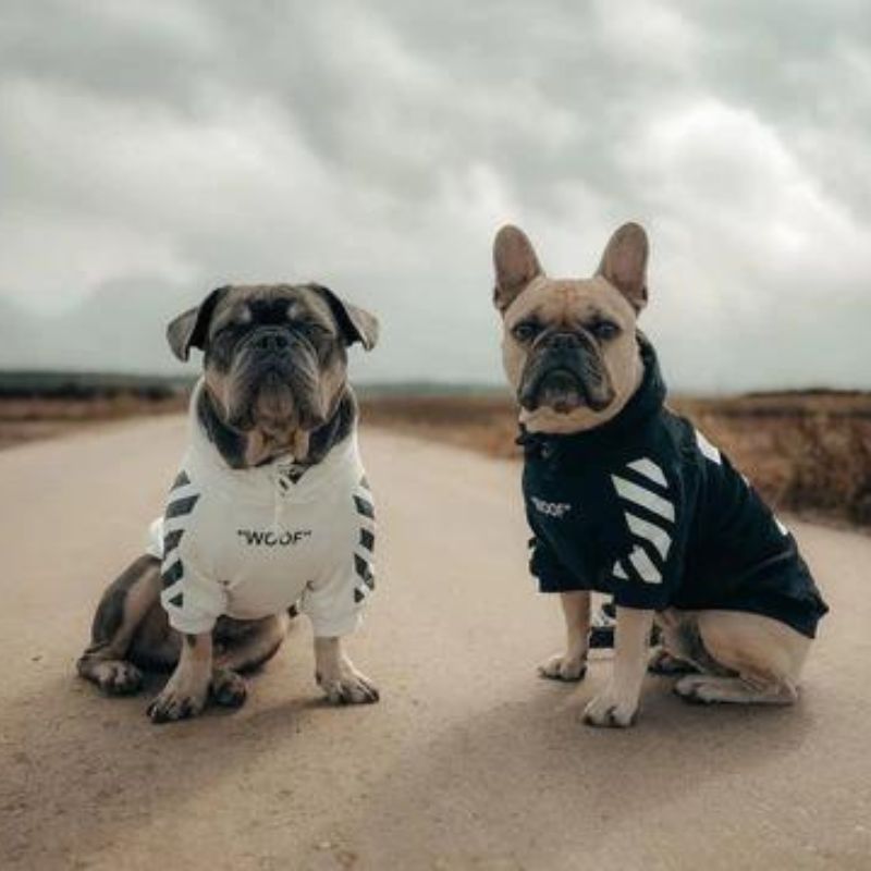 frenchie space shop woofywoof french bulldog hoodie