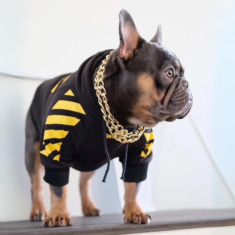 frenchie space shop woofywoof french bulldog hoodie