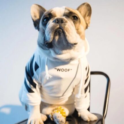 frenchie space shop woofywoof french bulldog hoodie