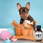 frenchie space shop anti itch french bulldog shampoo