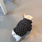 frenchie space shop basic black frenchie jacket