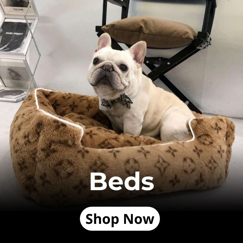 frenchie-space-shop-beds-banner-1