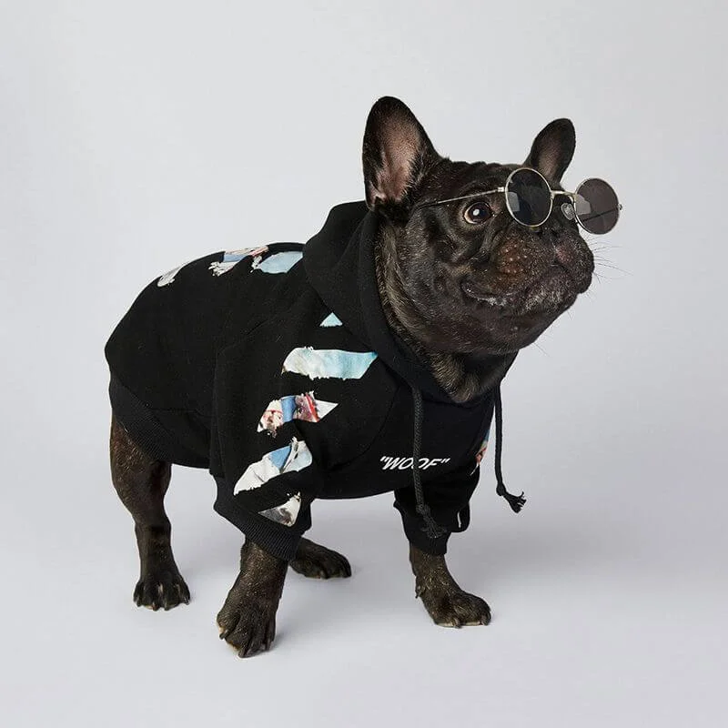 frenchie-space-shop-bloom-french-bulldog-hoodie-11 frenchie space shop bloom french bulldog hoodie