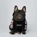 frenchie space shop bloom french bulldog hoodie