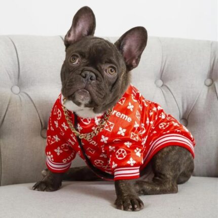 frenchie space shop bomberred frenchie jacket