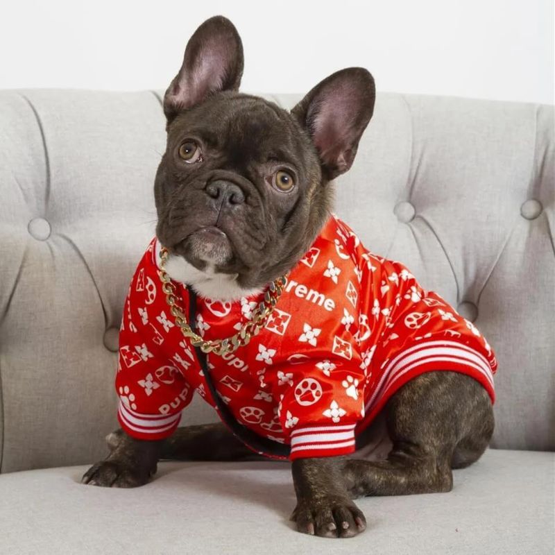 frenchie-space-shop-bomberred-frenchie-jacket-3 frenchie space shop bomberred frenchie jacket