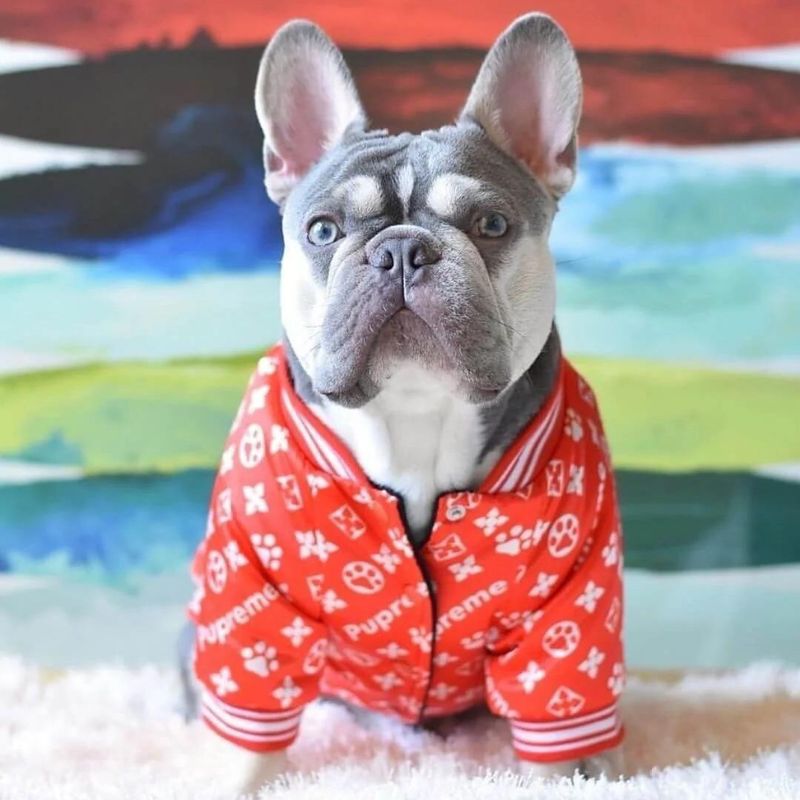 frenchie space shop bomberred frenchie jacket