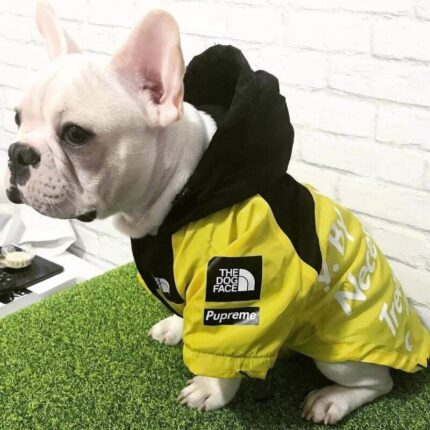 frenchie space shop bright windbreaker frenchie jacket
