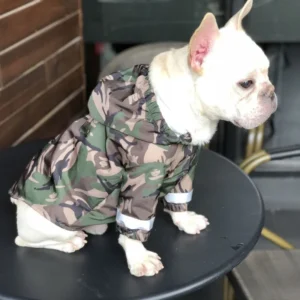 frenchie space shop camo french bulldog windbreaker jacket
