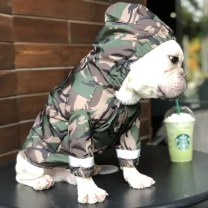 frenchie space shop camo french bulldog windbreaker jacket