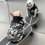 frenchie space shop camo frenchie jacket vest