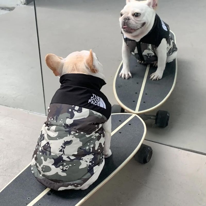 frenchie space shop camo frenchie jacket vest