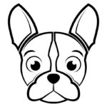 French Bulldog Clothes