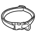 French Bulldog Collars