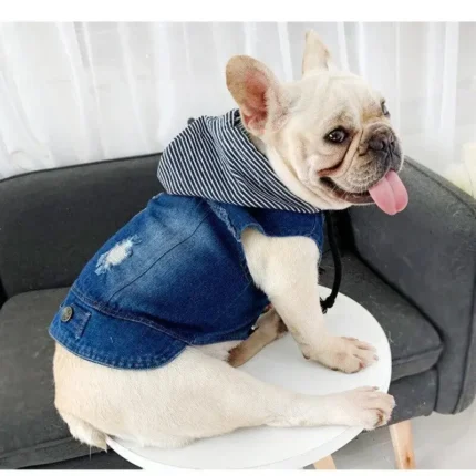 frenchie space shop denim french bulldog vest