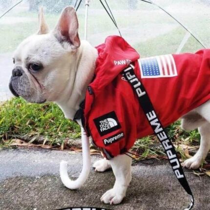frenchie space shop dogface french bulldog raincoat