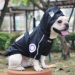 frenchie space shop dogface french bulldog raincoat