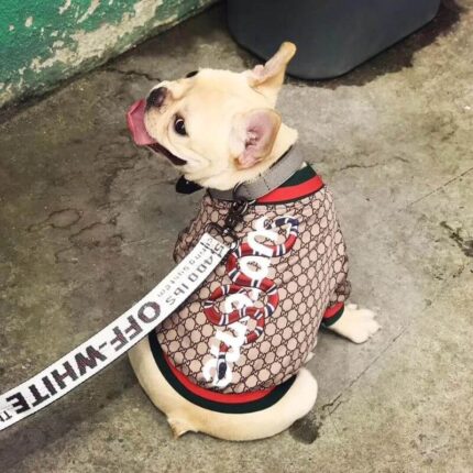 frenchie space shop fashionista pupreme frenchie jacket