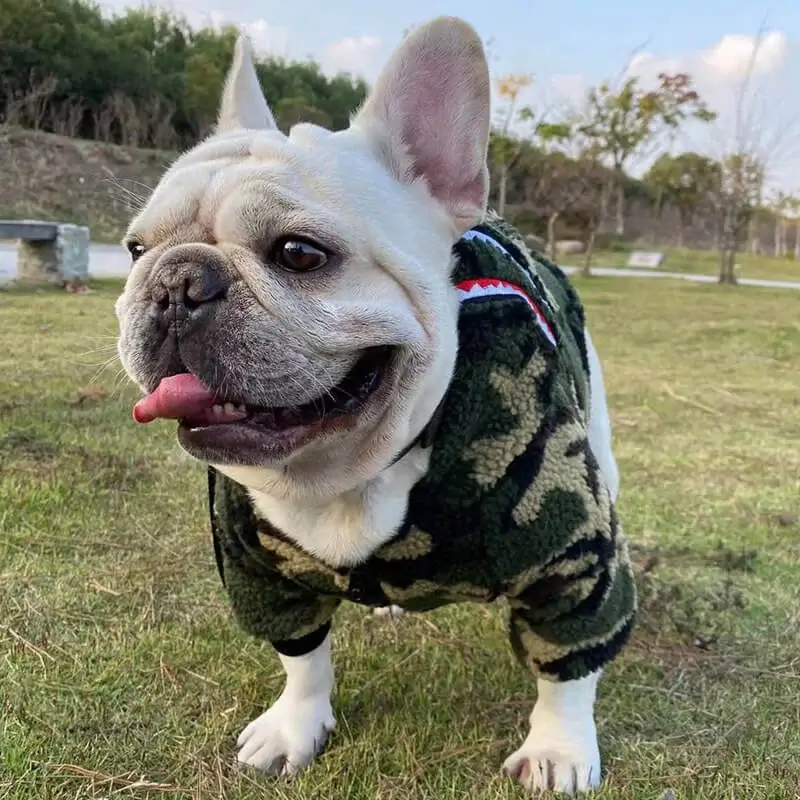 frenchie-space-shop-forest-french-bulldog-jacket-5 frenchie space shop forest french bulldog jacket