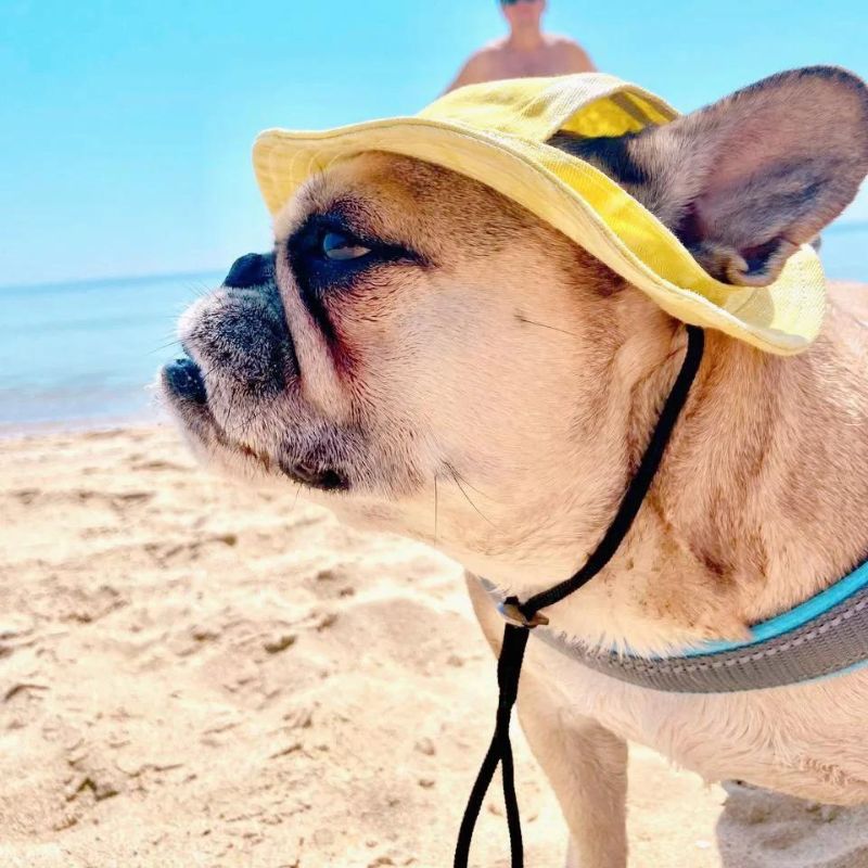 frenchie-space-shop-french-bulldog-bucket-hat-3 frenchie space shop french bulldog bucket hat