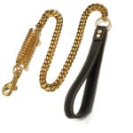frenchie space shop french bulldog chain collar