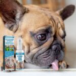 frenchie space shop french bulldog healing spray