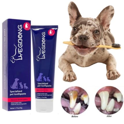 frenchie space shop french bulldog toothpaste