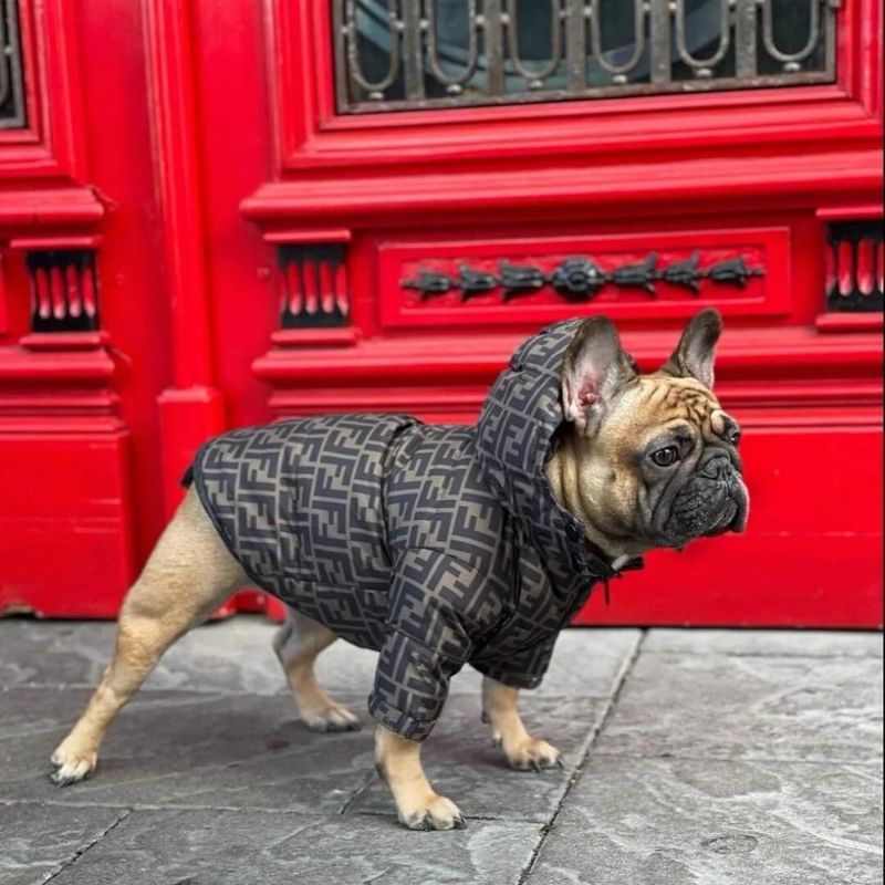 frenchie-space-shop-frendipuffer-frenchie-jacket-1 frenchie space shop frendipuffer frenchie jacket