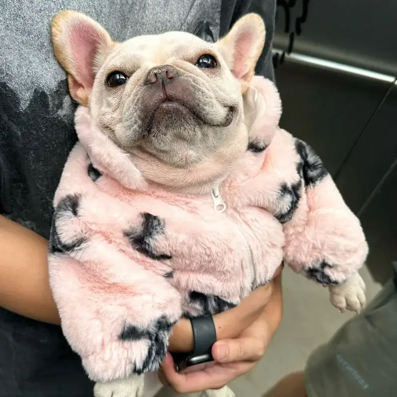 frenchie-space-shop-fur-pink-french-bulldog-jacket-7 frenchie space shop fur pink french bulldog jacket