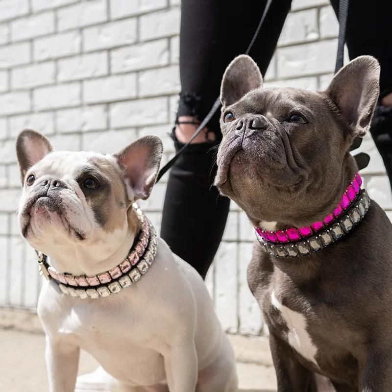 frenchie-space-shop-glamtime-french-bulldog-collar-15 frenchie space shop glamtime french bulldog collar