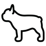 French Bulldog Harness & Collars