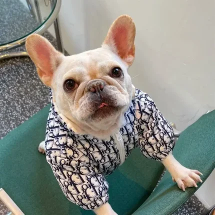 frenchie space shop hautehound french bulldog jacket