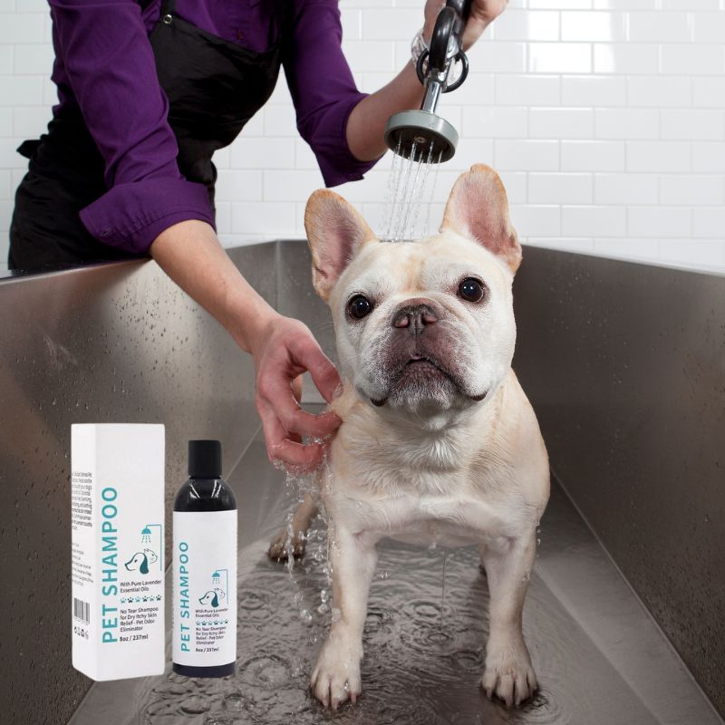 frenchie-space-shop-hypoallergenic-french-bulldog-shampoo-4 frenchie space shop hypoallergenic french bulldog shampoo