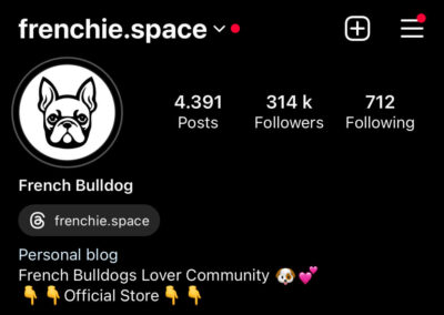 frenchie-space-shop-instagram instagram account