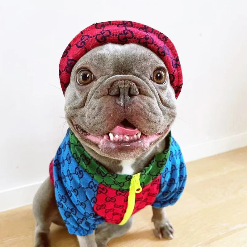 frenchie-space-shop-multiblocks-french-bulldog-jacket-set-3 frenchie space shop multiblocks french bulldog jacket set