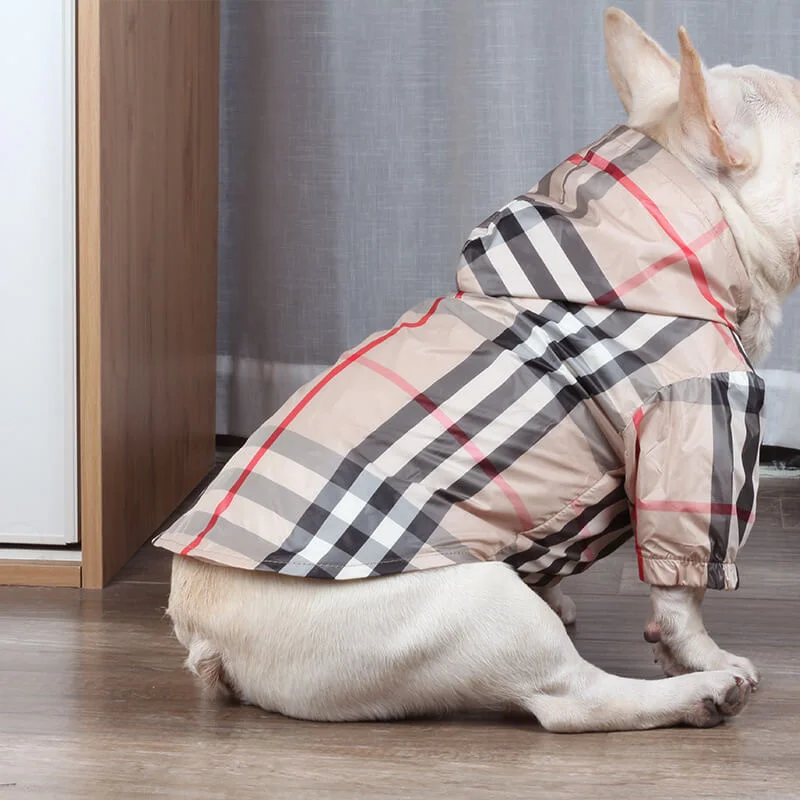 frenchie space shop pawberry french bulldog coat