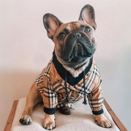 frenchie space shop pawberry french bulldog coat