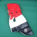frenchie space shop pawcler french bulldog vest