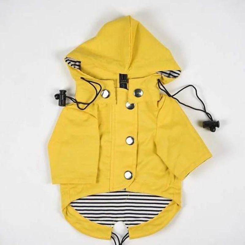 frenchie space shop rain rover frenchie coat