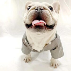 frenchie space shop reflective french bulldog raincoat