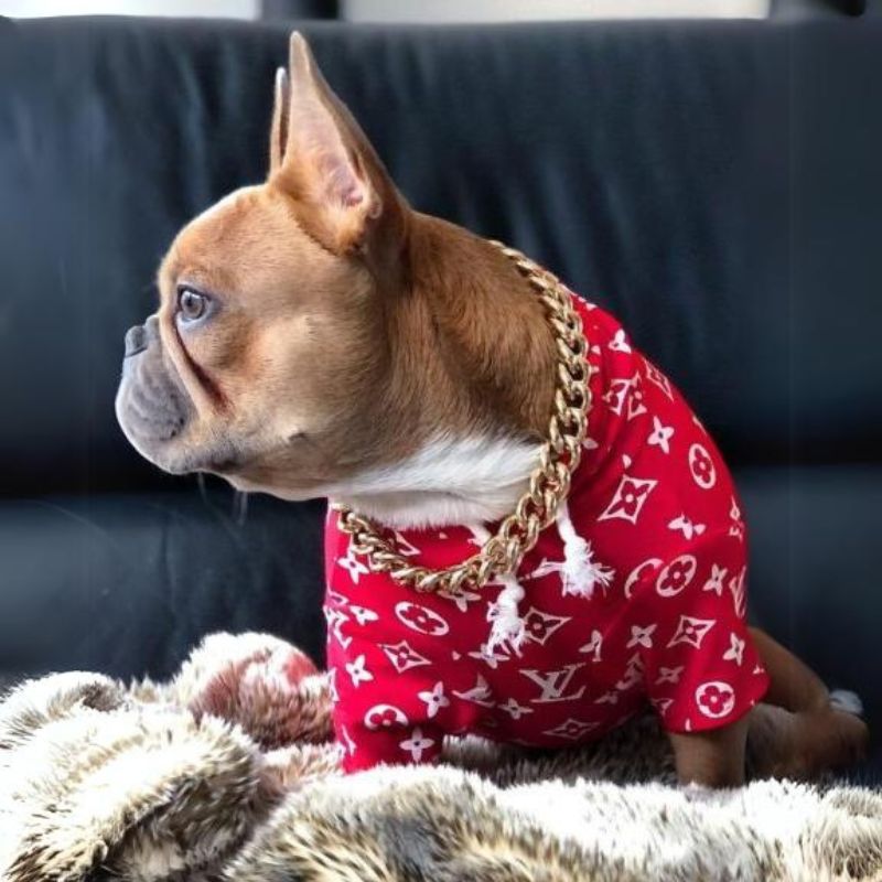 frenchie-space-shop-regalruff-french-bulldog-collar-1 frenchie space shop regalruff french bulldog collar