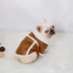 frenchie space shop sandytouch french bulldog jacket