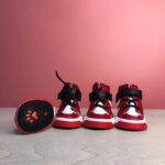 frenchie space shop sporty french bulldog shoes