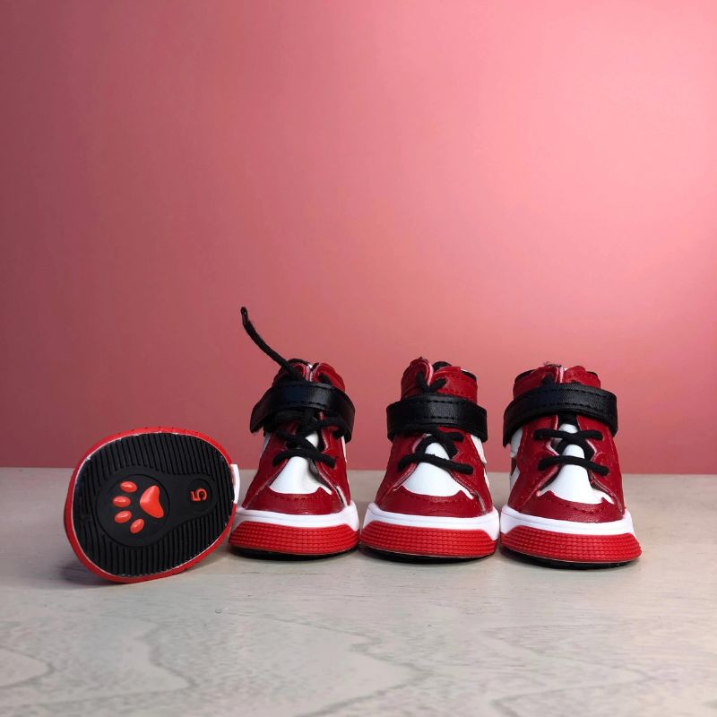 frenchie space shop sporty french bulldog shoes