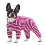 frenchie space shop striped french bulldog pajamas