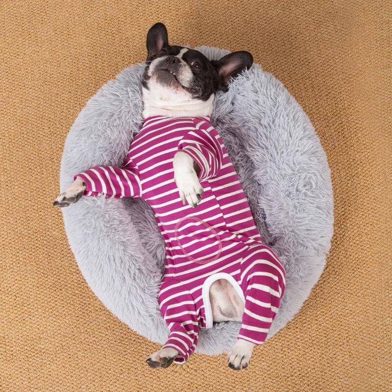 frenchie-space-shop-striped-french-bulldog-pajamas-4 frenchie space shop striped french bulldog pajamas